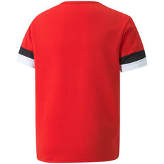 Marškinėliai vaikams Puma TeamRise Jersey Jr. 704938 01, raudoni kaina ir informacija | Marškinėliai berniukams | pigu.lt