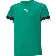 Футболка детская Puma TeamRise Jersey Jr., зеленая цена и информация | Рубашка для мальчиков | pigu.lt