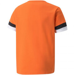 Футболка детская Puma TeamRise Jersey Jr 704938 08, оранжевая цена и информация | Рубашки для мальчиков | pigu.lt