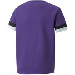Marškinėliai vaikams Puma TeamRise Jersey Jr 704938 10, violetiniai kaina ir informacija | Marškinėliai berniukams | pigu.lt