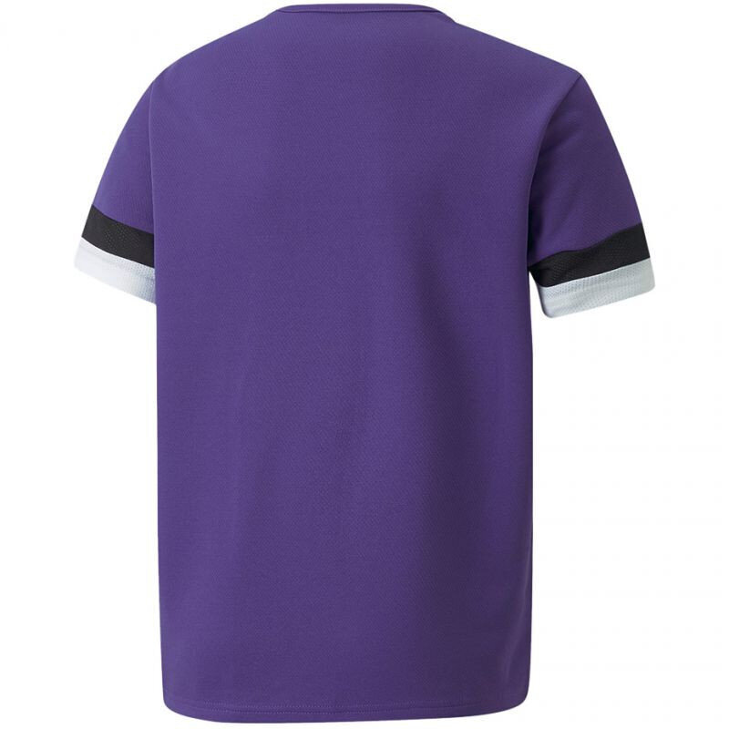 Marškinėliai vaikams Puma TeamRise Jersey Jr 704938 10, violetiniai цена и информация | Marškinėliai berniukams | pigu.lt