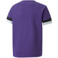 Marškinėliai vaikams Puma TeamRise Jersey Jr 704938 10, violetiniai цена и информация | Marškinėliai berniukams | pigu.lt