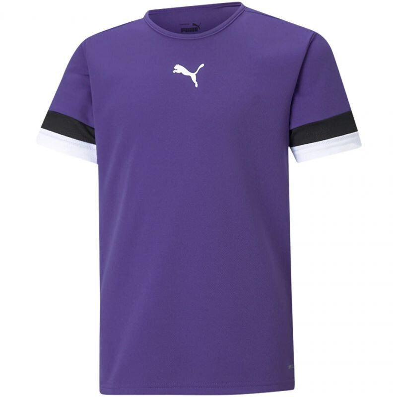 Marškinėliai vaikams Puma TeamRise Jersey Jr 704938 10, violetiniai цена и информация | Marškinėliai berniukams | pigu.lt