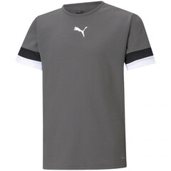 Marškinėliai vaikams Puma TeamRise Jersey Jr 704938 13, pilki kaina ir informacija | Marškinėliai berniukams | pigu.lt