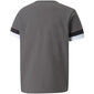 Marškinėliai vaikams Puma TeamRise Jersey Jr 704938 13, pilki kaina ir informacija | Marškinėliai berniukams | pigu.lt