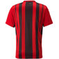 Marškinėliai vyrams Puma AC Milan Home Shirt Replica M 759122 01, raudoni цена и информация | Vyriški marškinėliai | pigu.lt