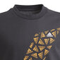 Marškinėliai vaikams Adidas Graphic Tee Jr GU8917, pilki kaina ir informacija | Marškinėliai berniukams | pigu.lt