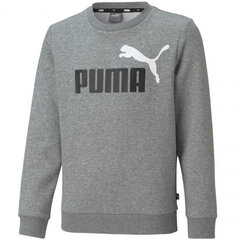 Megztinis vaikams Puma, pilkas цена и информация | Свитеры, жилетки, пиджаки для мальчиков | pigu.lt