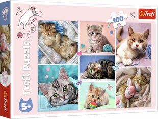TREFL dėlionė „Kačių pasaulyje“, 100 det. kaina ir informacija | Dėlionės (puzzle) | pigu.lt