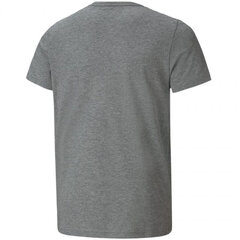 Puma Футболки Ess+ 2 Col Logo Tee Grey 586985 03 цена и информация | Рубашки для мальчиков | pigu.lt