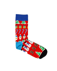 Kojinės moterims Happy Socks, raudonos цена и информация | Женские носки | pigu.lt