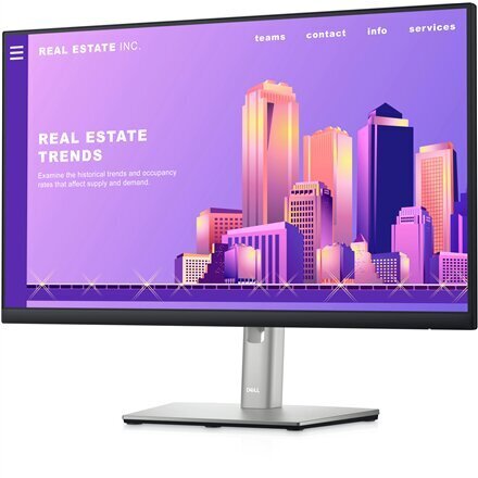 Dell P2422H, 24", 5 m. garantija kaina ir informacija | Monitoriai | pigu.lt