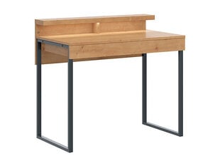 Письменный стол BRW Darin, коричневый цена и информация | Компьютерные, письменные столы | pigu.lt