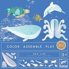 Nuspalvink Surink Žaisk Djeco Vandenynas kaina ir informacija | Lavinamieji žaislai | pigu.lt