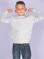 Megztinis berniukams 164 cm цена и информация | Megztiniai, bluzonai, švarkai berniukams | pigu.lt