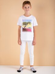 Термоактивные штаны светло-бежевого цвета для мальчика. цена и информация | Штаны для мальчиков | pigu.lt