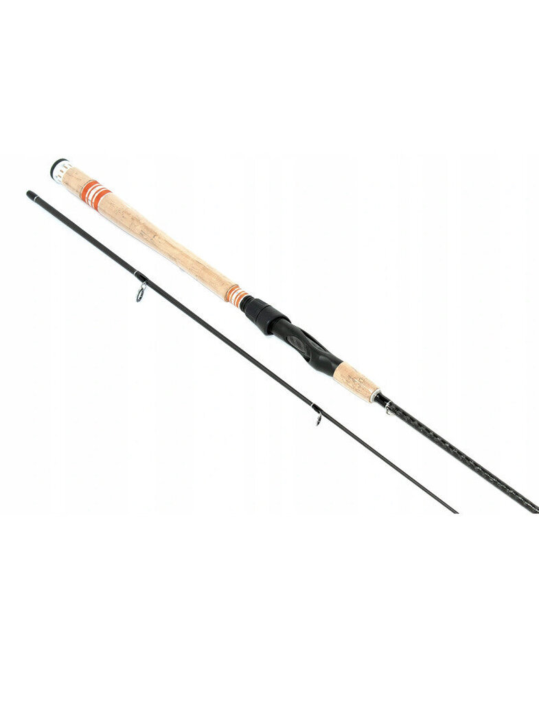 Spiningas Amberjack 240 cm 10x40 g цена и информация | Meškerės, meškerių laikikliai, stovai | pigu.lt