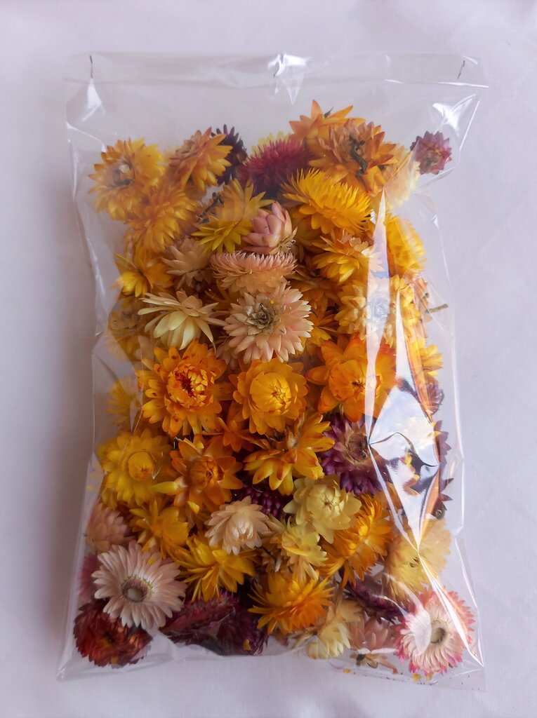 Džiovintos spalvotos šiaudinės gėlės, 100 vnt kaina ir informacija | Floristikos reikmenys | pigu.lt
