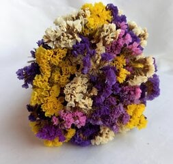 Сухие цветы, разноцветные цена и информация | Принадлежности для флористики | pigu.lt