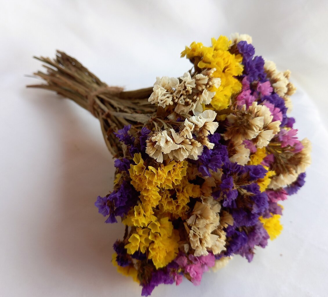 Sausos gėlės, įvairių spalvų kaina ir informacija | Floristikos reikmenys | pigu.lt