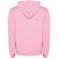 Hoodie džemperis vyrams Urban SU1067, rožinis цена и информация | Megztiniai vyrams | pigu.lt