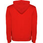 Hoodie džemperis vyrams Urban SU1067, raudonas kaina ir informacija | Megztiniai vyrams | pigu.lt