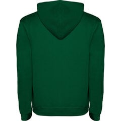 Hoodie худи с двухцветным капюшоном Urban SU1067 зеленый/серый цена и информация | Мужские свитера | pigu.lt