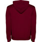 Hoodie džemperis vyrams Urban SU1067, raudonas цена и информация | Megztiniai vyrams | pigu.lt