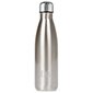 Termo gertuvė IZY Bottle, 500ml, Chrome Silver цена и информация | Termosai, termopuodeliai | pigu.lt