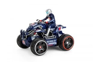 Автомобиль: квадроцикл, радиоуправляемый, амфибия Red Bull цена и информация | Игрушки для мальчиков | pigu.lt