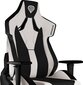 Žaidimų kėdė Genesis Nitro 650, balta kaina ir informacija | Biuro kėdės | pigu.lt