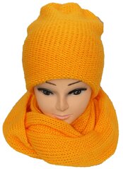 Комплект из шапки и шарфа, красный цена и информация | Женские шапки | pigu.lt