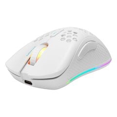 Беспроводная мышь Deltaco WM80, 6400 dpi, 6 кнопок, RGB, белая цена и информация | Мыши | pigu.lt
