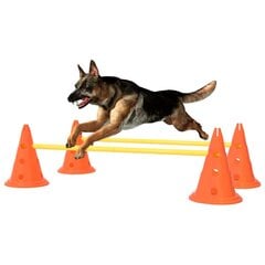 Šunų vikrumo kliūčių rinkinys kaina ir informacija | Dresūros priemonės šunims | pigu.lt