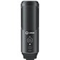 LORGAR Voicer 521 mikrofonas, juodas kaina ir informacija | Mikrofonai | pigu.lt