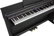 Elektrinis pianinas Orla CDP101/RW kaina ir informacija | Klavišiniai muzikos instrumentai | pigu.lt