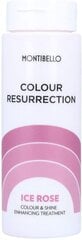 Тонирующий кондиционер для волос Montibello Colour Resurrection Ice Rose  цена и информация | Бальзамы, кондиционеры | pigu.lt