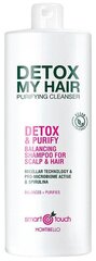 Очищающий шампунь для волос Montibello Smart Touch Detox My Hair цена и информация | Шампуни | pigu.lt