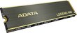 ADATA ALEG-840-512GCS kaina ir informacija | Vidiniai kietieji diskai (HDD, SSD, Hybrid) | pigu.lt