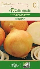 ЛУК СЪЕДОБНЫЙ HIBERNA цена и информация | Семена овощей, ягод | pigu.lt