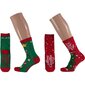 Kalėdinės kojinės vaikams Apollo, 2 poros kaina ir informacija | Kojinės, pėdkelnės mergaitėms | pigu.lt