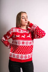 Kalėdinis megztinis moterims R757 kaina ir informacija | Megztiniai moterims | pigu.lt