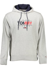 Džemperis vyrams Tommy Hilfiger, pilkas kaina ir informacija | Sportinė apranga vyrams | pigu.lt