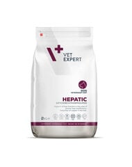 VetExpert 4T Veterinary Diet Hepatic Dog корм для собак всех пород, 2 кг цена и информация |  Сухой корм для собак | pigu.lt