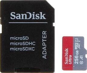 SanDisk SSD-MICRO-10/256-SAND цена и информация | Карты памяти для фотоаппаратов, камер | pigu.lt