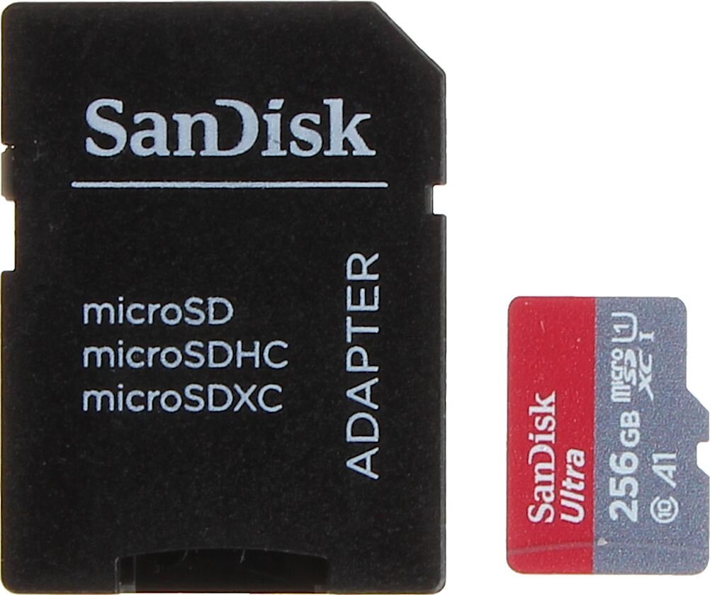 SanDisk SSD-MICRO-10/256-SAND kaina ir informacija | Atminties kortelės fotoaparatams, kameroms | pigu.lt