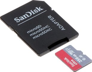 SanDisk SSD-MICRO-10/256-SAND цена и информация | Карты памяти для фотоаппаратов, камер | pigu.lt