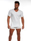 Marškinėliai vyrams, balti цена и информация | Vyriški marškinėliai | pigu.lt