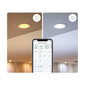 LED juostos Philips Wiz, 1600 lm kaina ir informacija | LED juostos | pigu.lt