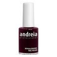 Nagų lakas Andreia Nº 9, 14 ml